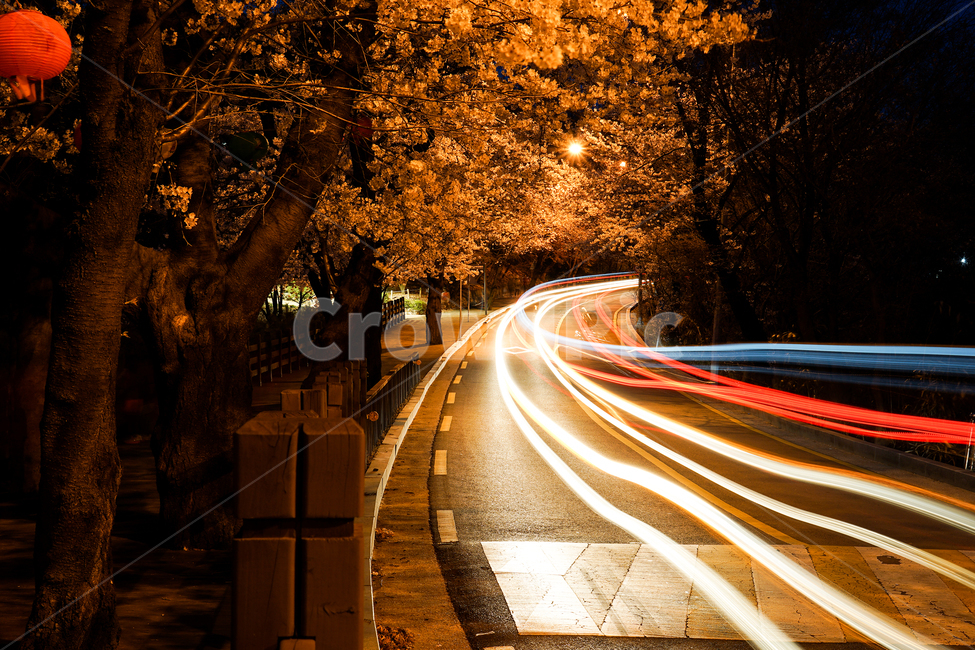 asphalt,아스팔트,road,도로,괘적,불빛,야경,밤,풍경,nightscape,night,landscape,교통,교통수단,traffic,transportation