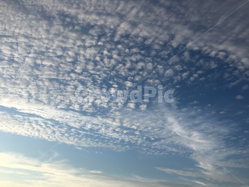 하늘,sky,구름,cloud,날씨,weather,맑음,clear,맑은날,푸른하늘,bluesky