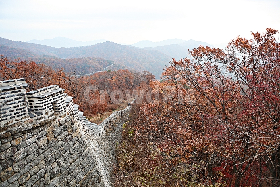 남한산성,성,성곽,단풍,낙엽,길,둘레길,숲,숲길,담돌담,가을,자연,풍경,벽,울긋불긋,산성,식물,가을,계절,fall,autumn,season