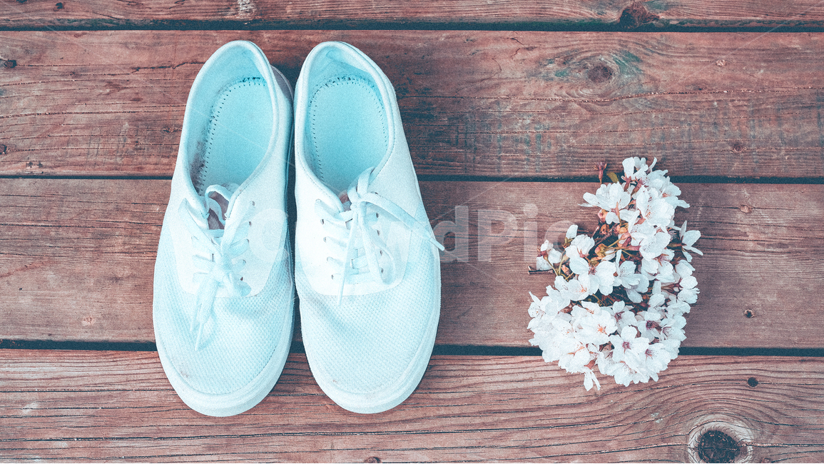 벚꽃,신발,감성,필름,연출,소품,나무,엽서,배경화면,순수,자연,봄,계절,spring,season,식물,자연,plants,nature,꽃,flower,패션스타일,의상,fashion,style,감성,sensible,feeling,사물,물건,오브젝트,thing,object,matter,연출,컨셉,콘셉,direction,concept