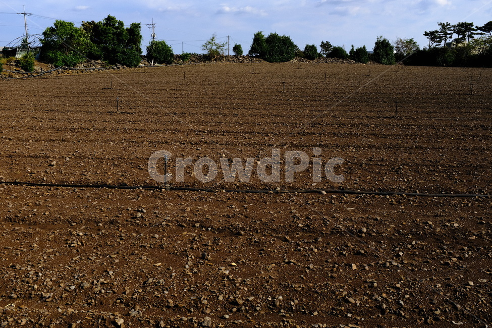 밭,제주도,농촌,시골,시골하늘,산업,industry,industrial,농업,농사,agriculture,farming,farming industry