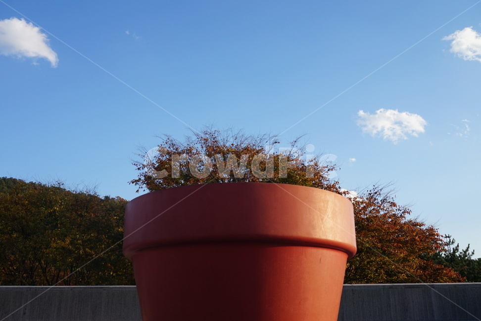 낙엽,가을,붉은산,단풍,오색산,가을하늘,10월,구름