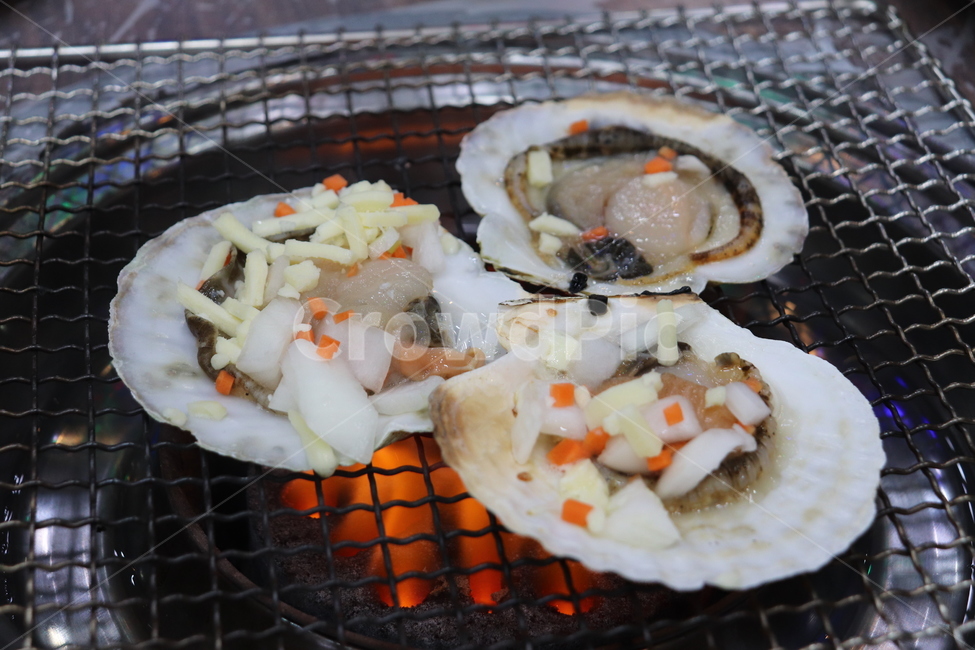 조개구이,조개,해산물,food,seafood,음식,식재료,요리,food,cook,meal,dishes,food reserves