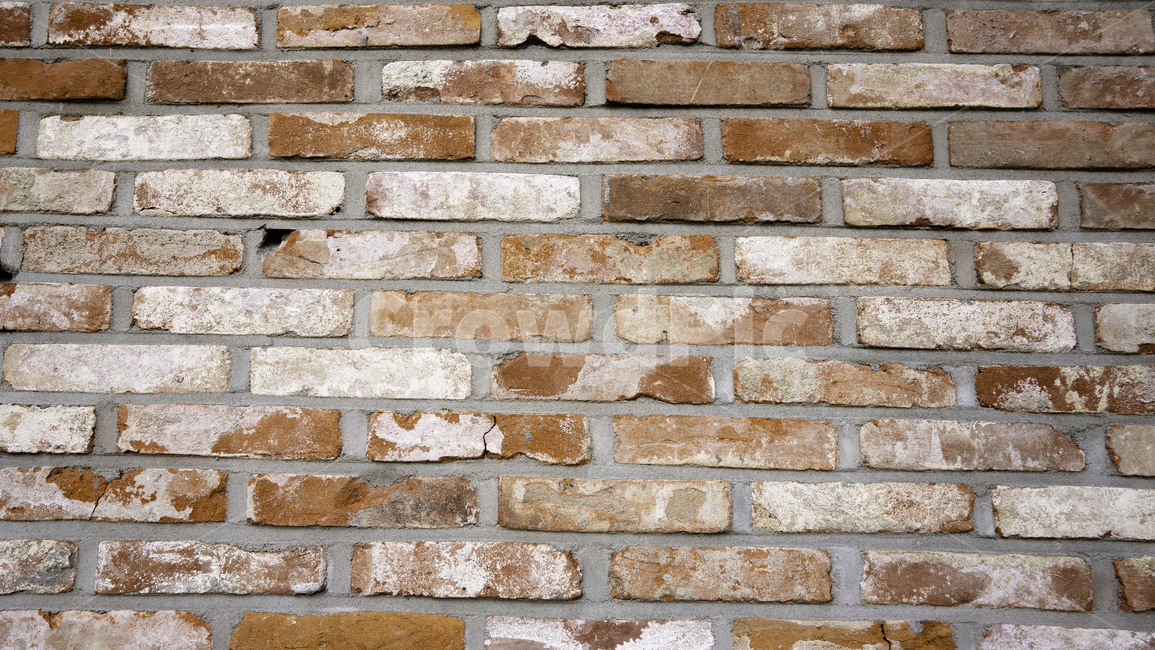 brick,벽돌,wall,벽,path,통로,walkway,보도