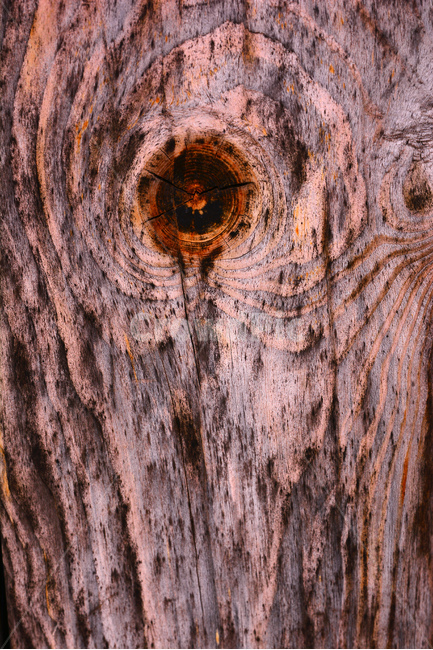 텍스쳐,패턴,나무,바탕,빈티지,배경,나뭇결,wood,백그라운드,질감,표면,texture,background,pattern,vintage,나이테,흔적,무늬,세월,추상,텍스처,질감,패턴,texture,pattern
