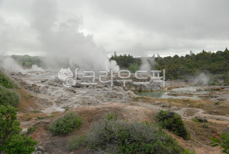 New Zealand,Hell Hot Springs,vapor,Spa,sight,Rotorua,New Zealand hot springs,water