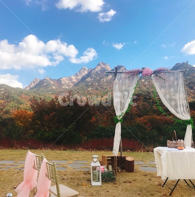 야외결혼식,셀프웨딩,웨딩아치,북한산뷰,weddingarch,가을북한산,결혼식,wedding,selfwedding,야외결혼식꾸미기,야외결혼식세팅