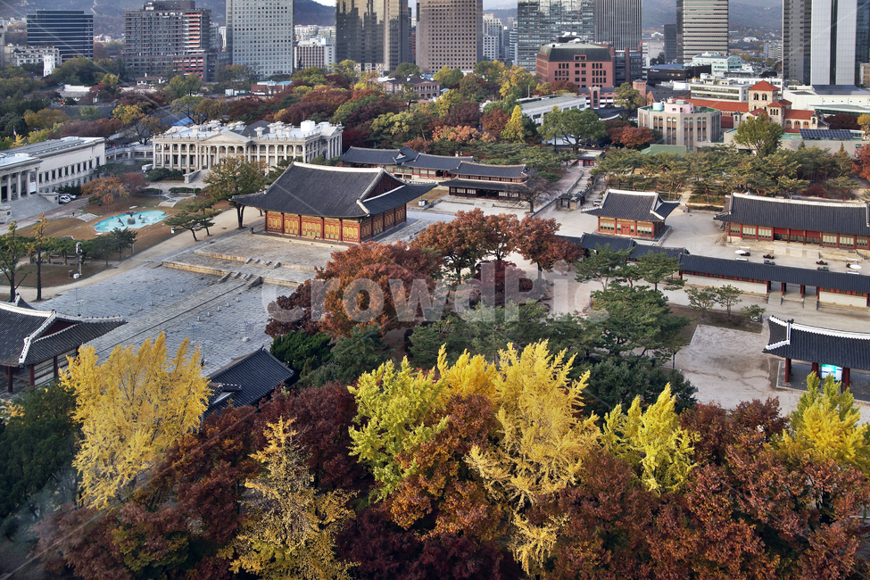 덕수궁,궁궐,가을,자연,도심,중화전,석조전,한국전통,한국문화,korean traditional,korean culture