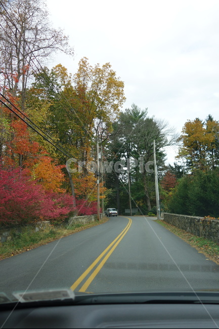 가을,단풍,길,드라이브,fall,drive,leaves,colors,가을,계절,fall,autumn,season,자연,풍경,nature,landscape,road,도로,freeway,고속 도로,highway,고속도로,asphalt,아스팔트,plant,식물,tree,나무