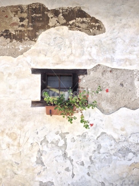 여행,세계여행,유럽여행,체코,체스키크룸로프,travel,journey,europe,czech,ceskykrumlov,그리움,창,창문,꽃,화분,longing,window,flower,flowepot,식물,자연,plants,nature,꽃,flower