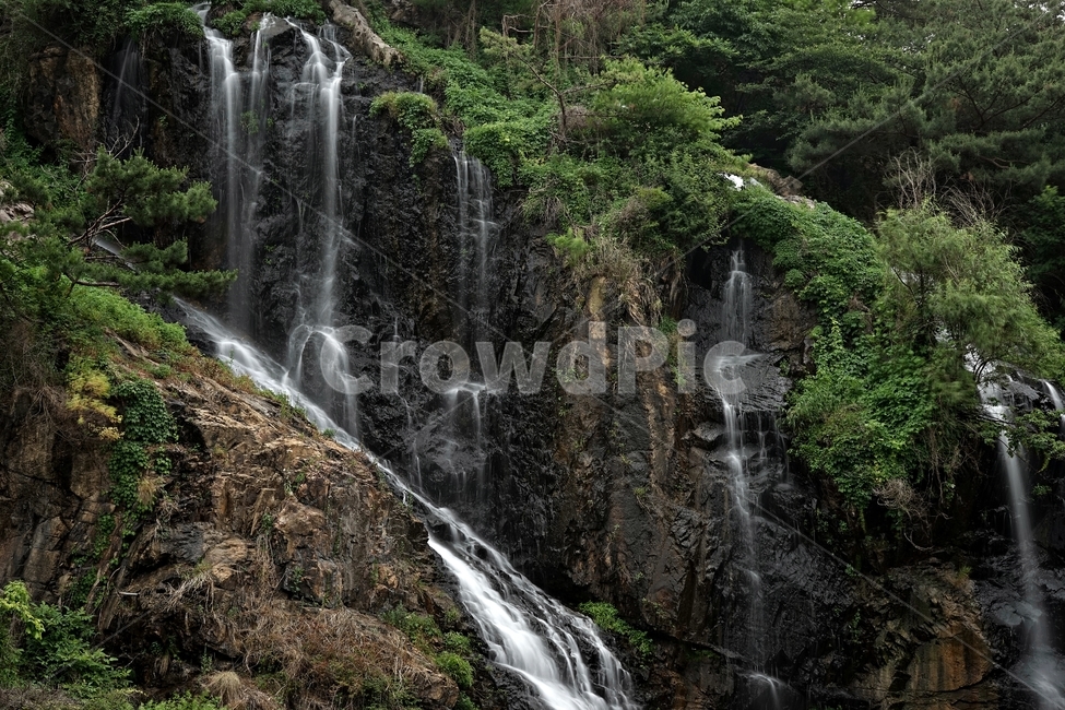 폭포,자연,물,시원함,인공,바위,풀,waterfall,nature,water,cool,여행,산,풍경,landscape,river,outdoors,풍경사진,낙수,암반,낙하,폭포마당,서대문폭포마당,물줄기,장노출,암벽,자연,풍경,nature,landscape,river,강,outdoors,옥외
