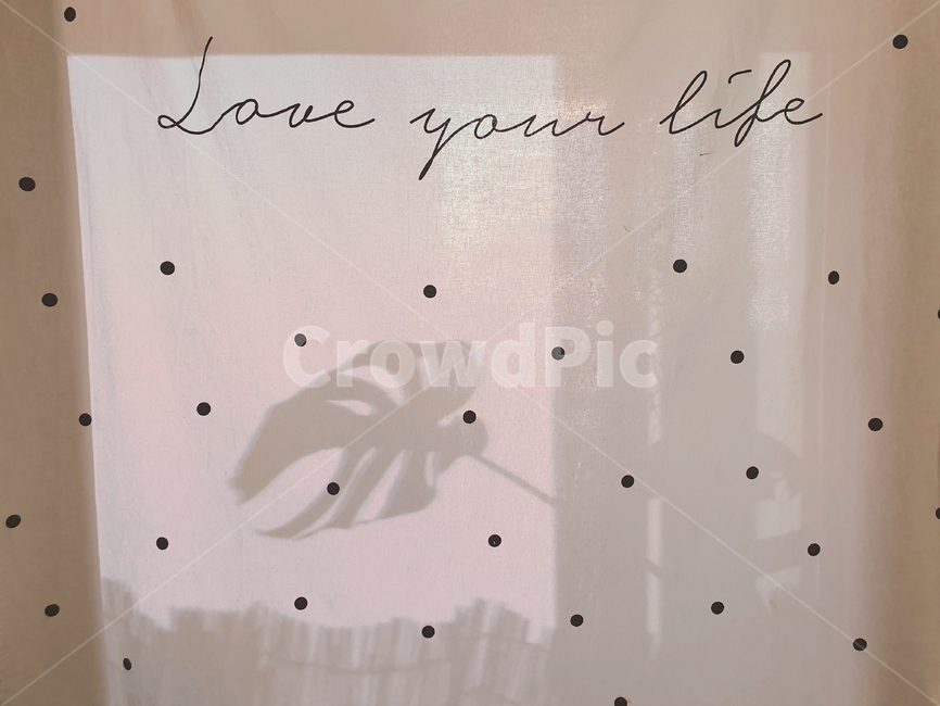 본문,text,loveyourself,몬스테라,그림자