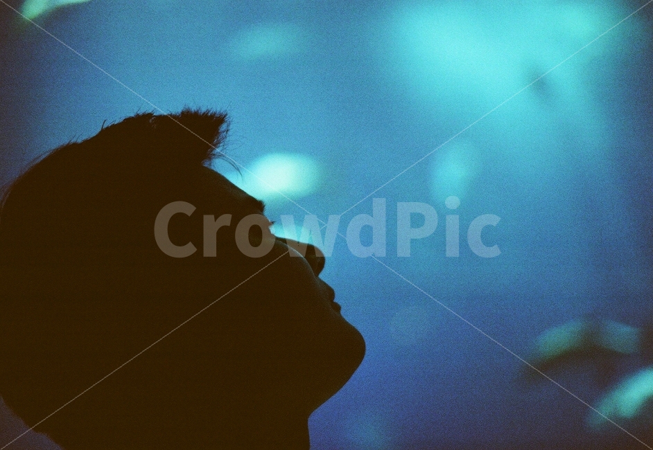 수족관,아쿠아리움,옆모습,인물사진,몽환적인,일본,오키나와,여행,남자,환상적인,아름다운,바다,물,물고기,감성사진,필름사진,aquarium,face,personal,dreamlike,fantastic,fish,japan,okinawa,beautiful,sea,water,sensitive,film,man,사람,인물,인간,human,person,남성,남자,man,male,감정표현,기분,feeling,emotion,감성,sensible