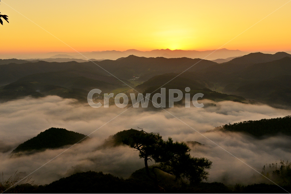 nature,자연,outdoors,임실,국사봉,운해,국사봉일출,아침,여명,해돋이,경치,경관,풍경,옥외,mountain,산,mountainrange,산맥,dawn,새벽,sky,하늘,redsky,붉은하늘,light,빛,flare,플레어,소나무,자연,풍경,nature,landscape,한국자연풍경,한국자연경관,korea nature landscape
