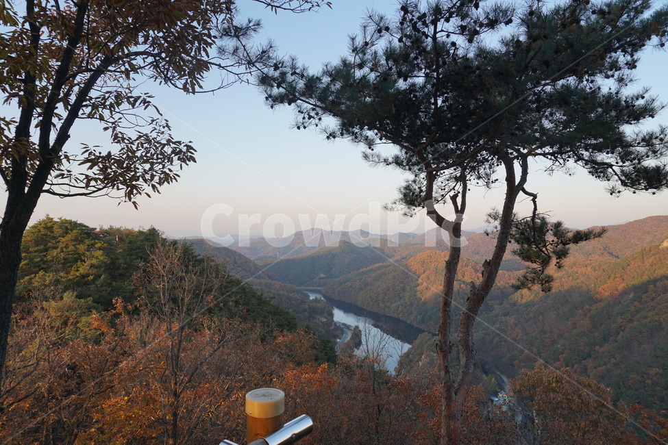 nature,자연,outdoors,옥외,scenery,풍경,자연,풍경,nature,landscape,식물,plants,나무,trees,wood