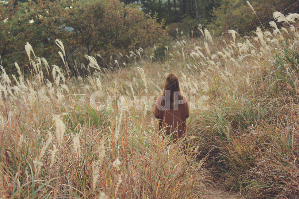 가을,가을분위기,감성사진,여자,가을풍경,인물,계절,갈대,뒷모습,autumn,season,woman,female,lady,억새,가을,계절,fall,autumn,season,여성,여자,woman,female,lady,감성,sensible,feeling