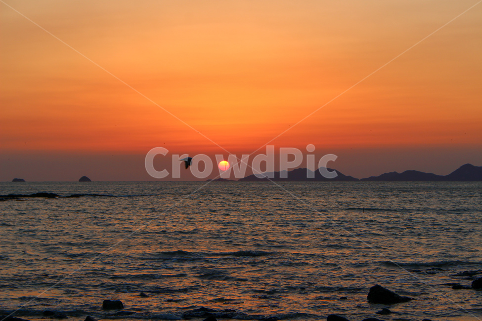 노을,해질녘,일몰,일출,태양,바다,하늘,자연,풍경,nature,landscape,한국자연풍경,한국자연경관,korea nature landscape,outdoors,옥외,sunset,dawn,새벽,sky,red sky,붉은 하늘,dusk,황혼