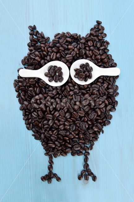 커피,커피콩,원두,coffee,owl,불면증,카페인,부엉이,커피,카페,coffee,cafe,연출,컨셉,콘셉,direction,concept