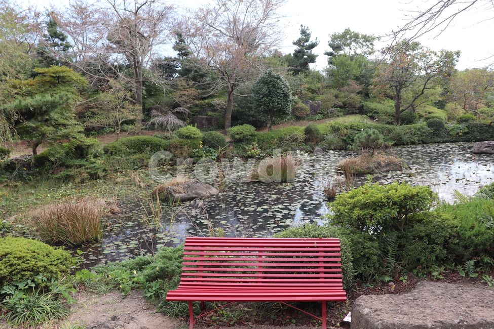 bench,벤치,furniture,가구,나무,tree