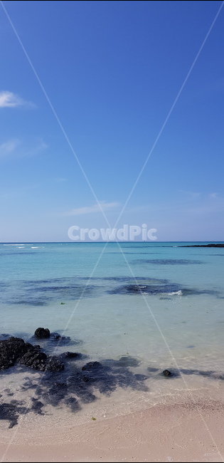 세로,바다,제주,애월,현무암,해변,바다,beach,sea