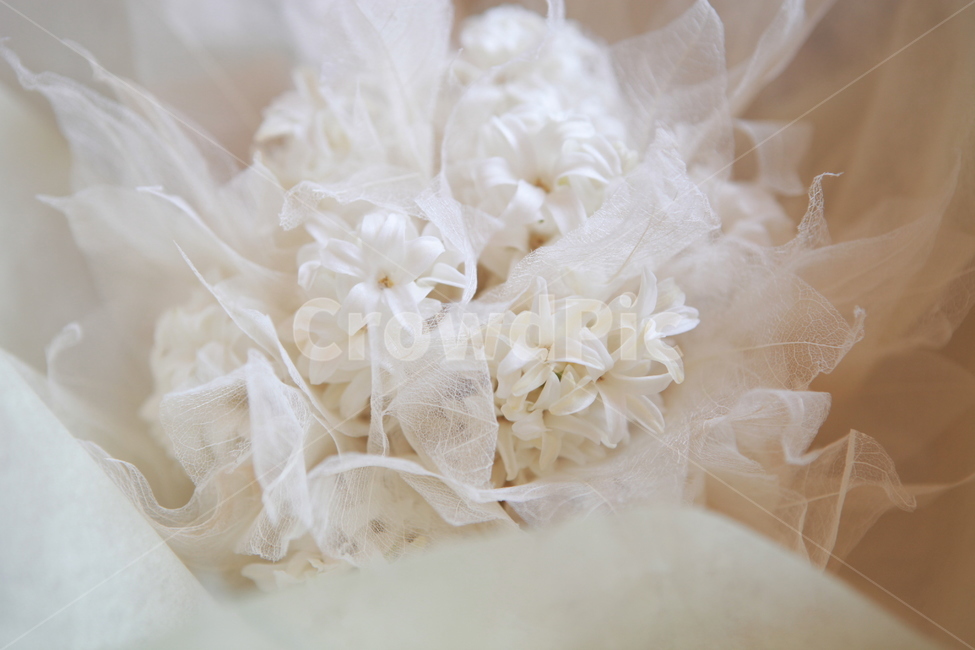 웨딩부케,화이트부케,결혼,히야신스부케,꽃,결혼,혼례,웨딩,wedding,marriage,marry,기념일,축하,anniversary,congratulation,celebrate,celebration