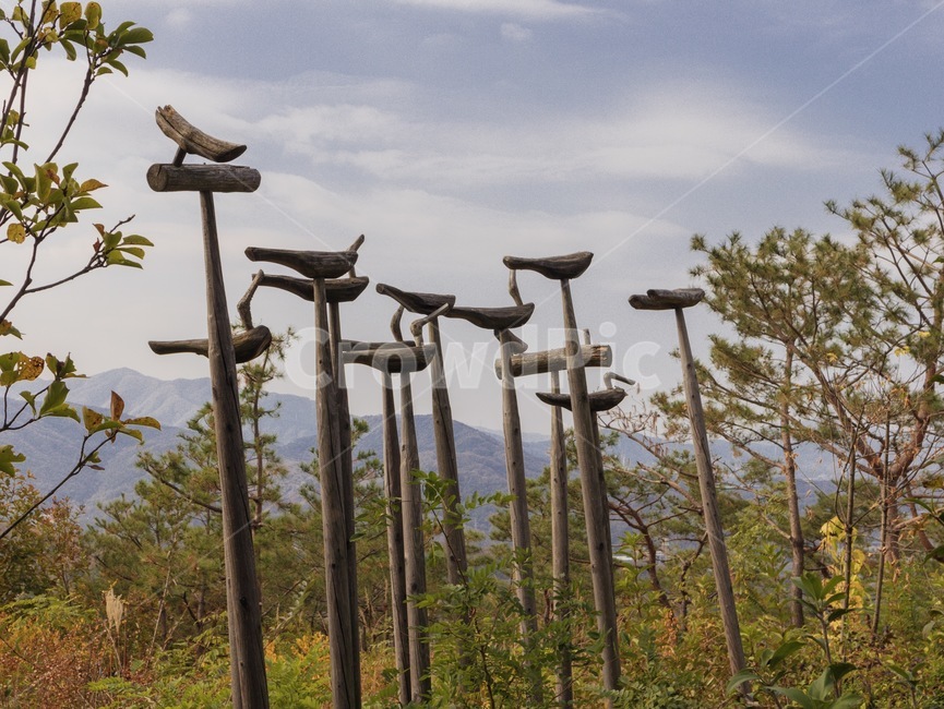새,조각,조형,조형물,새조각,새조형,야외,옥외,한국전통,한국문화,korean traditional,korean culture,조각상,동상,석상,조형물,statue,bronze statue,stone statue