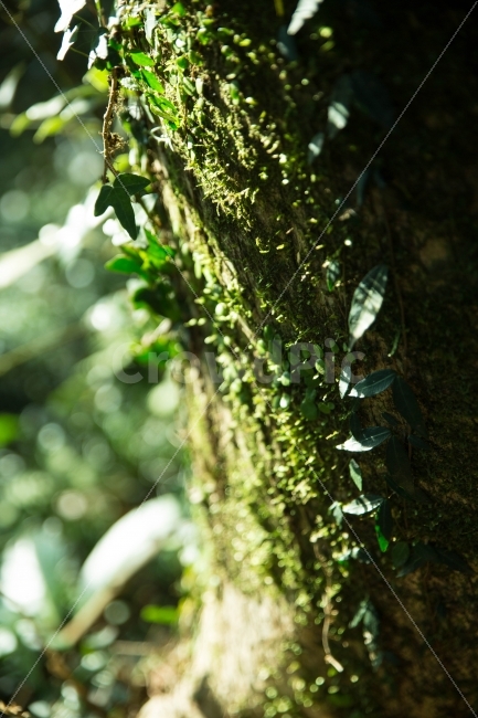 여행,감성,나무,풀,풍경,자연,스냅,휴식,힐링,rest,relaxation,healing,식물,자연,plants,nature,감성,sensible,feeling,색깔,색상,색채,색감,color sense,color sensitivity,feeling of color
