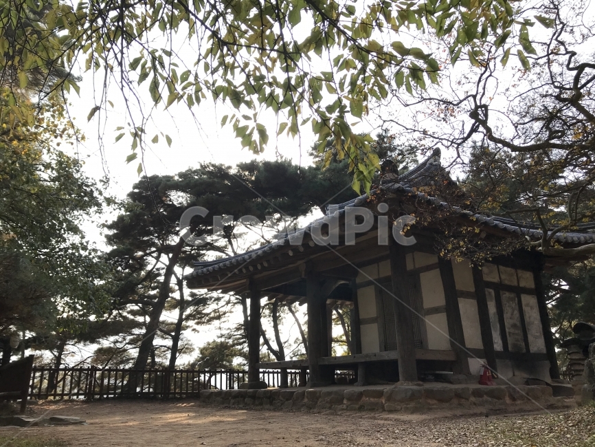 가을,담양,소쇄원,식영정,풍경사진,landscape,출사,가을풍경,단풍,은행,감성,쓸쓸함,한국전통,한국문화,korean traditional,korean culture,건축물,건물외관,exterior,building,structure,architecture,construction