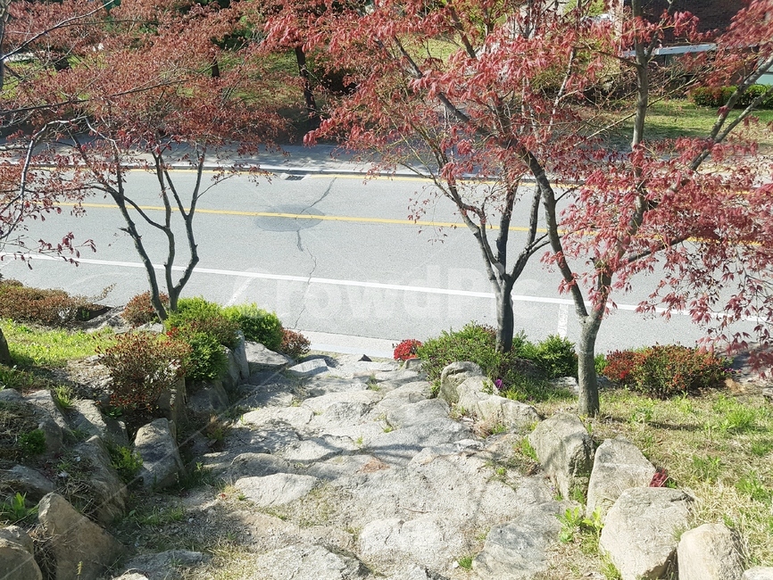 돌계단,오르막길,돌길,나무사이,내리막길