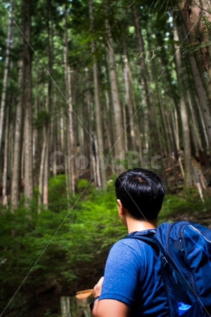 캐나다,밴쿠버,그라우스그라인드,등반,체력,운동,등산,자연,나무,canada,vancouver,grousegrind,자연,풍경,nature,landscape,여행,휴가,traveling,vacation,trip,사람,인물,인간,human,person,남성,남자,man,male,plant,식물,vegetation,초목