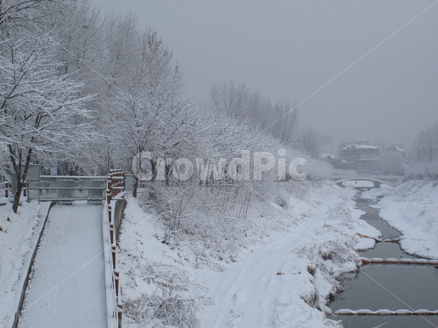 설경,눈,눈온풍경,쌓인눈,눈사진,양재시민의숲,겨울,나무,눈꽃,snow,winter,forest,tree,양재천,streem,G10,canonG10,캐논G10,canon,캐논,겨울,계절,winter,season,자연,풍경,nature,landscape,storm,폭풍,outdoors,옥외,blizzard,눈보라