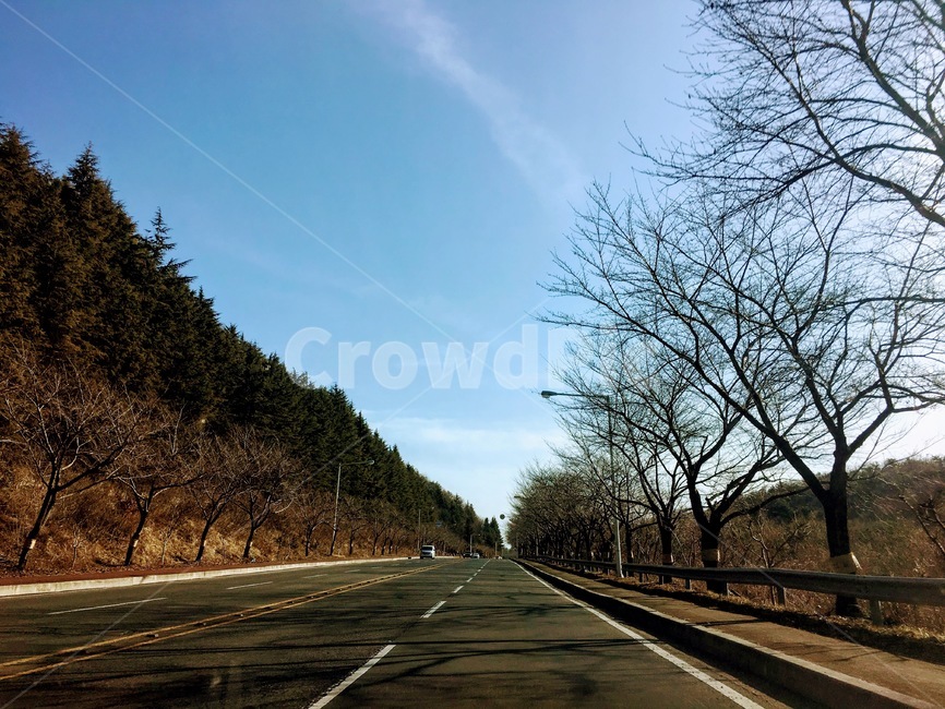 도로,드라이브,나무,하늘,쾌청,자연,풍경,nature,landscape,road,highway,고속도로,freeway,고속 도로,asphalt,아스팔트