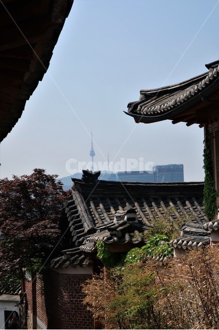 전통,빈티지,한옥,북촌,서울,한국,대한민국,집,디자인,창문,건축,건축물,문화,스타일,목재,주택,기와,지붕,처마,돌담,고풍,보존,보호,전통미,가옥,골목,화단,풍경,도시,풍경,city,landscape,한국도시풍경,한국도시경관,korea cityscape,한국전통,한국문화,korean traditional,korean culture