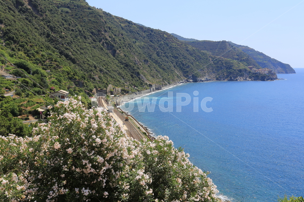 이태리,이탈리아,친퀘테레,마나롤라,italy,cinqueterre,유럽,바다,풍경,산,도로