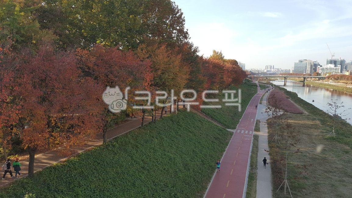 안양천산책로,산책로,안양천,산책길,가을,풍경,자연,나무,단풍,산책,하늘