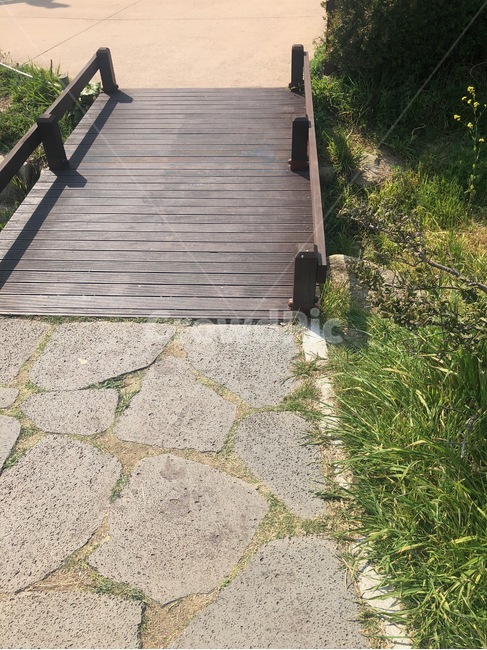 오륙도,다리,풀잎,돌길,들꽃