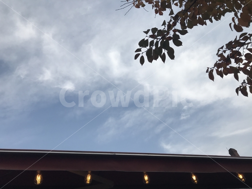 백그라운드,배경,배경화면,바탕화면,BG,Background,하늘,파란하늘,날씨,가을