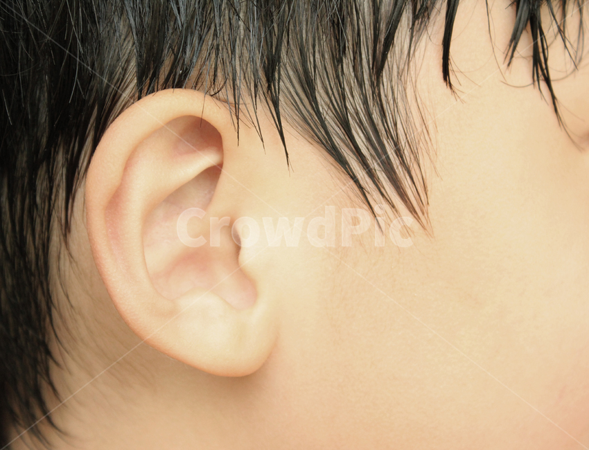 asian,baby,body,boy,child,closeup,ear,hair,head,human,kid,listen,men,people,person,skin,sound,young,동양인,아시아인,어린이,아이,아기,소년,남자아이,남자,신체,몸,클로즈업,얼굴,머리,머리카락,키즈,사람,피부,귀,소리,젊은,듣기,귓바퀴,옆모습,구렛나루,사람,인물,인간,human,person,신체일부,몸,body,어린이,어린아이,child,children,kid