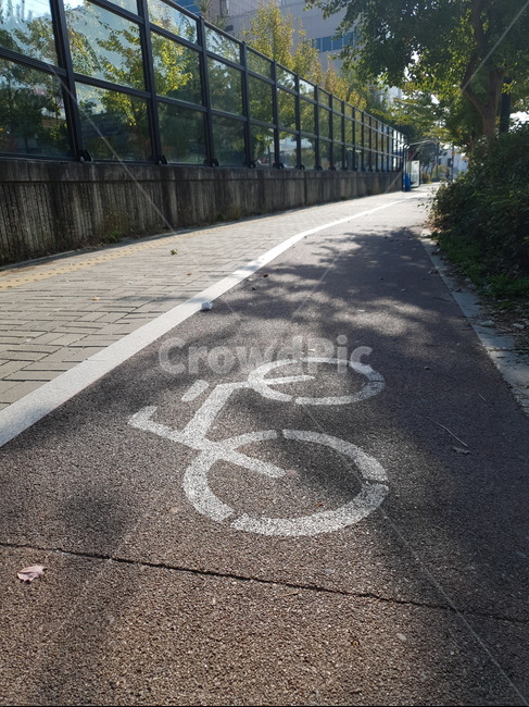 자전거도로,인도,가을,가을느낌,쓸쓸함,자전거,길거리