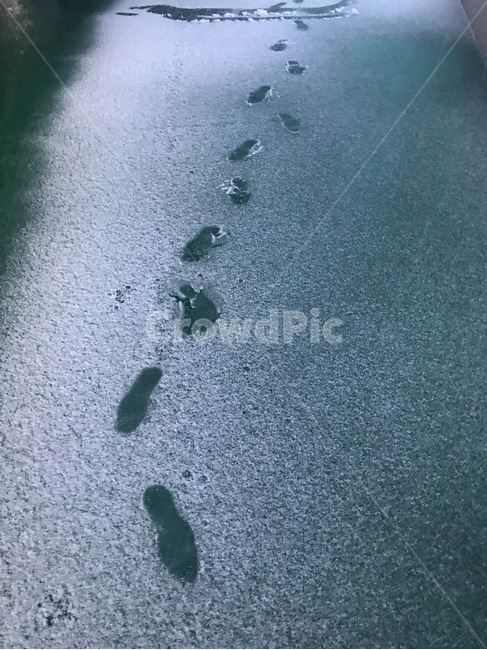 눈발자국,눈길,발자국,첫걸음,진눈깨비