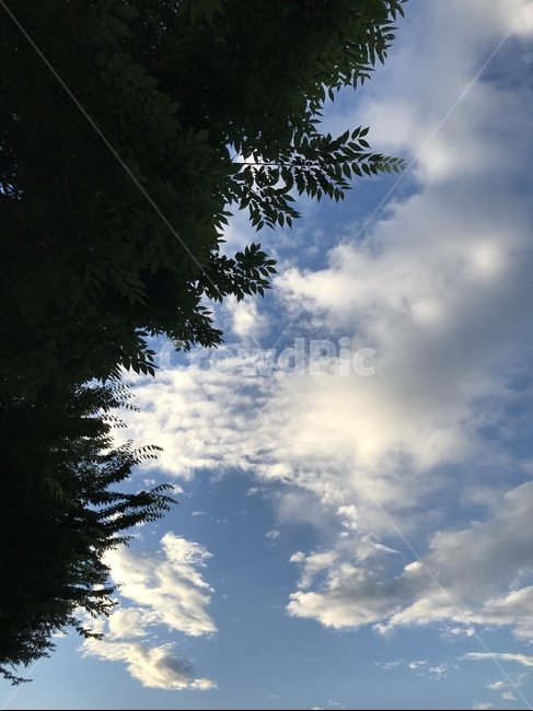 하늘,구름,파란,풍경,자연,환경,자연,풍경,nature,landscape,outdoors,옥외