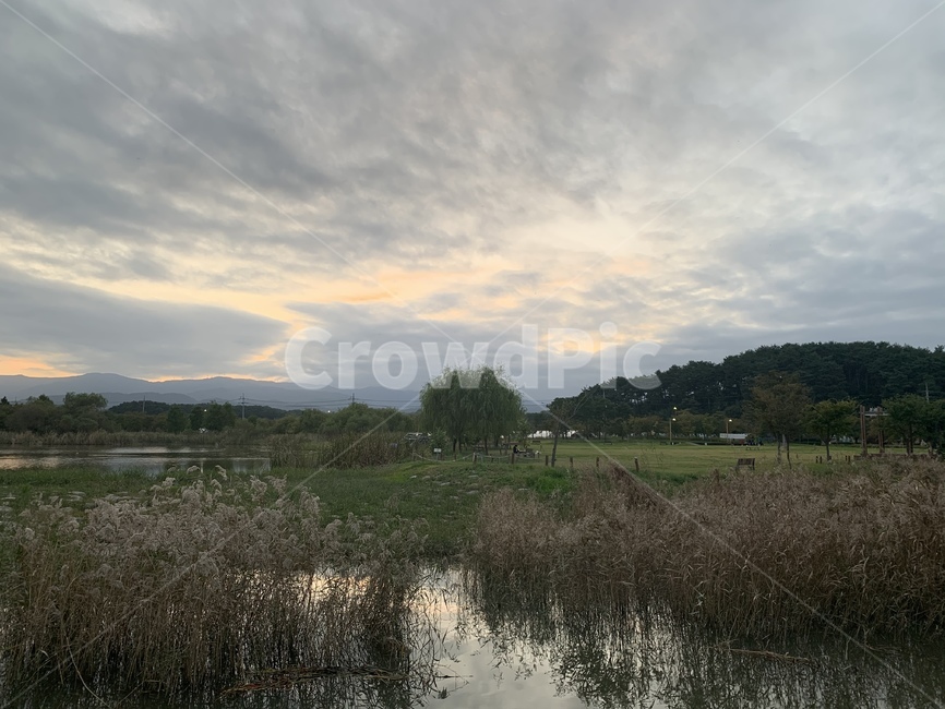 갈대,하늘,풍경,자연,nature,water,물,outdoors
