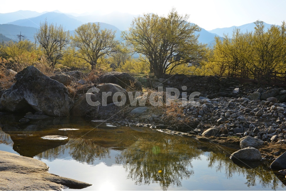 전남,구례,산동,산수유마을,산동산수유마을,산수유,산수유꽃,반영,mountainrange,산맥,mountain,산,nature,자연,water,물,outdoors,옥외,자연,풍경,nature,landscape
