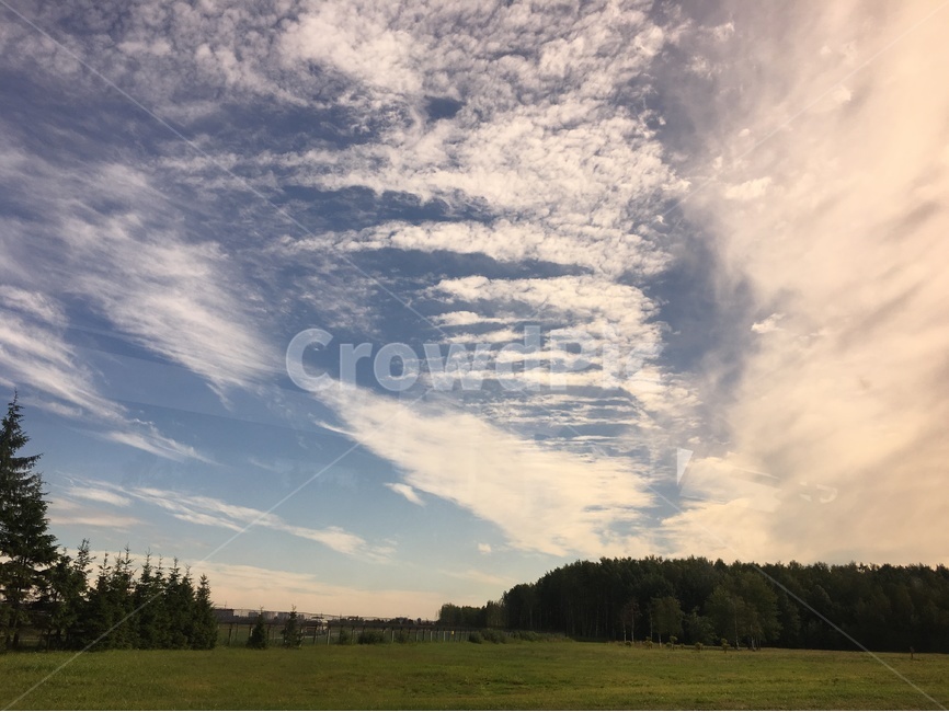 하늘,sky,풍경,자연,구름,clouds,forest,자연경관,beautiful,자연,풍경,nature,landscape,outdoors,옥외,field,들,weather,날씨,grassland,목초지,cumulus,적운,cloud
