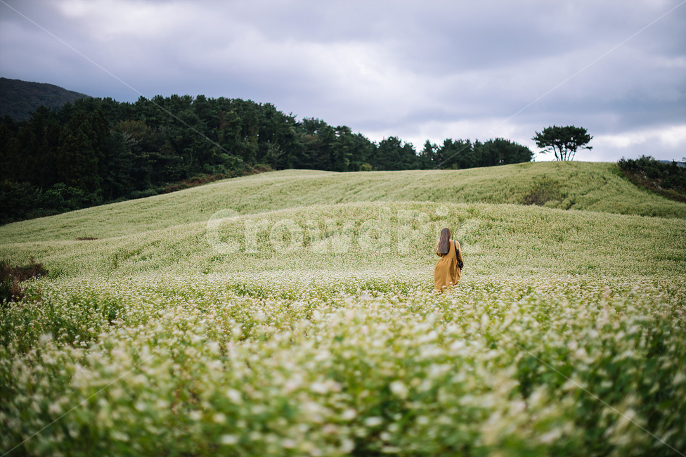 일상,여행,감성사진,풍경,한국랜드마크,휴가,자연,풍경,nature,landscape,한국자연풍경,한국자연경관,korea nature landscape,여성,여자,woman,female,lady,여행,휴가,traveling,vacation,trip,field,들,grassland,목초지,outdoors,옥외,farm,농장,rural,농촌,meadow