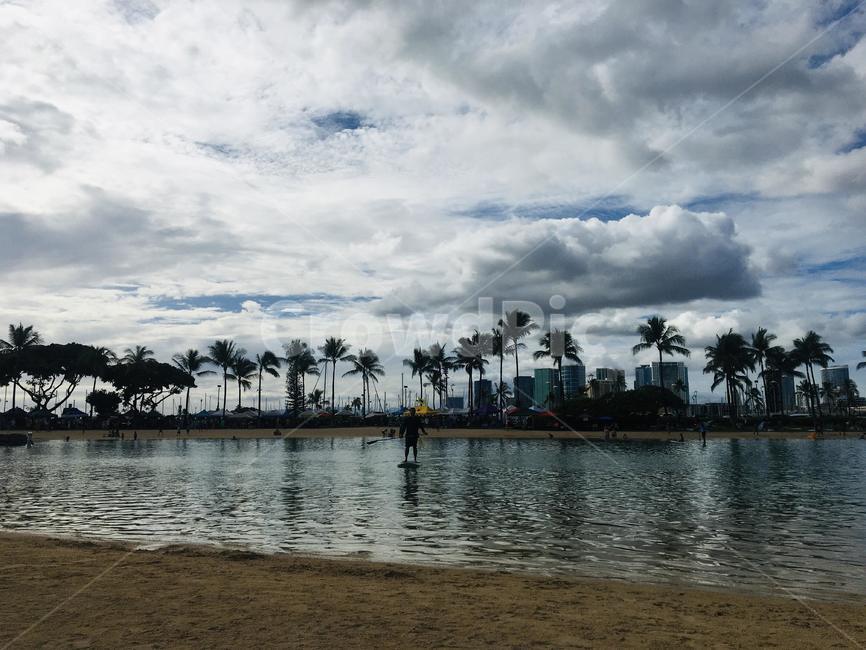 hawaii,하와이,야자수,palmtree,arecaceae,sea,패러보드,패들보드,paddleboard,hawaiianvillage,하와이안빌리지