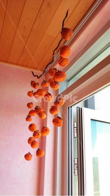 곶감,주황,과일,가을,주렁주렁,수확