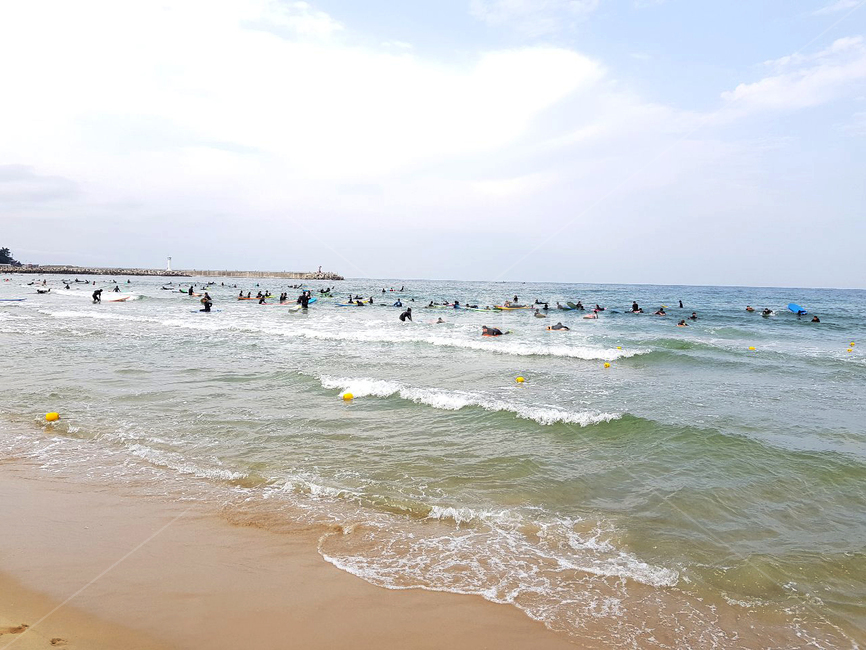 바다,풍경,서핑,파도,서퍼,ocean,물,자연,풍경,nature,landscape,대양,water,sea,outdoors,옥외