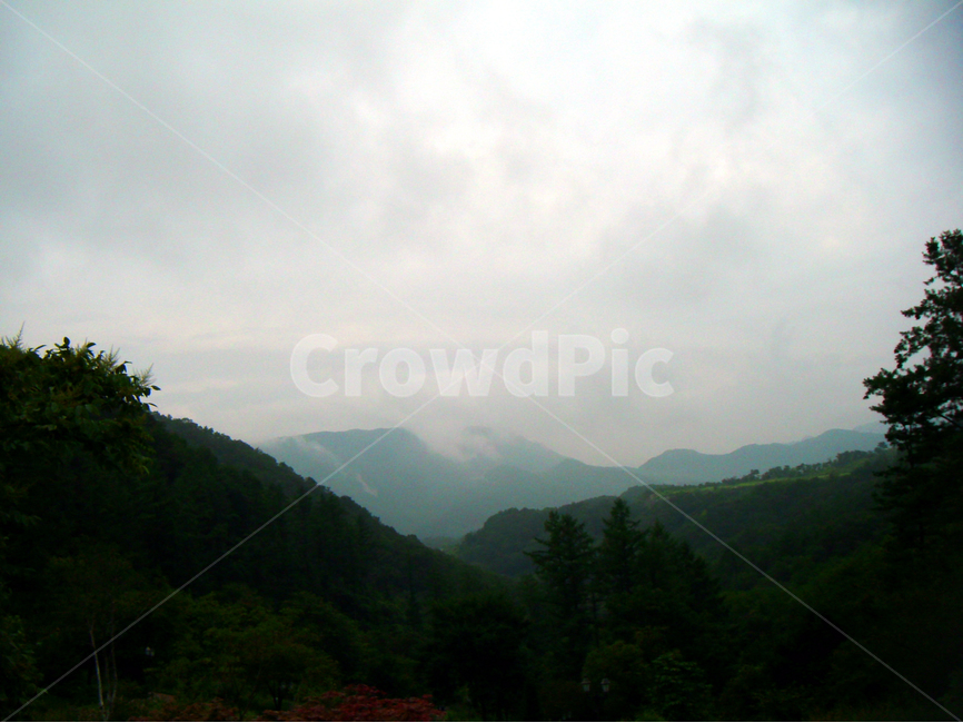 산,자연,자연풍경,구름,아침,피톤치드,청정,나무,숲,자연,풍경,nature,landscape,outdoors,옥외,slope,경사,mountain