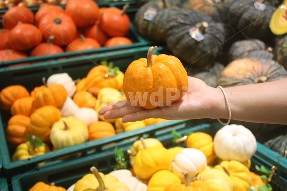 호박,마트,음식,food,pumpkin,color